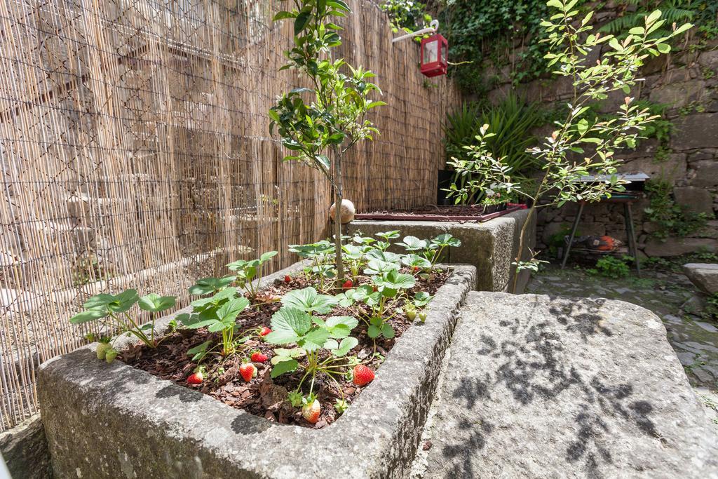 Bracara Hostel Braga Exterior foto